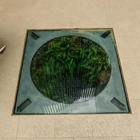 La Pasajera Boutique 4* Conil De La Frontera