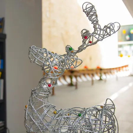 Guest house La Pasajera Hostal Boutique